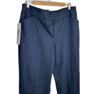 NWT Up Pull on Blue Pinstriped Pant 16 Tummy Control